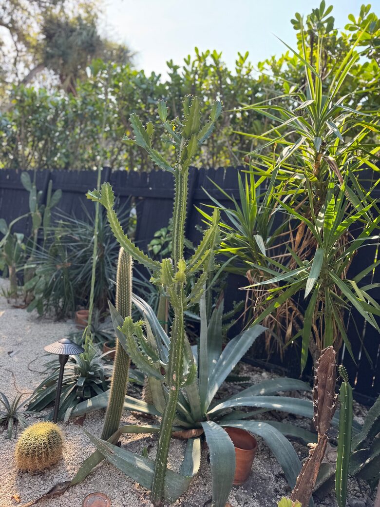 Stylish 2BR Miami Retreat with Botanical Interiors & Backyard Oasis - Miami, Florida