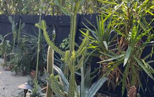 Stylish 2BR Miami Retreat with Botanical Interiors & Backyard Oasis - Miami, Florida