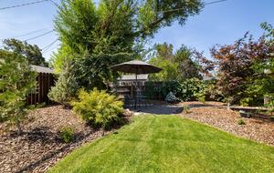 Sunny Solarium Retreat in the Heart of Reno - Reno, Nevada