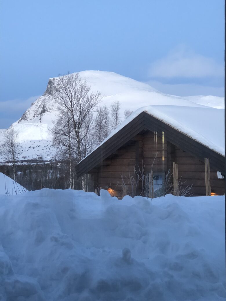 Scandinavian Elegance with Mountain & Lake Vistas - Hemsedal Municipality, Norway