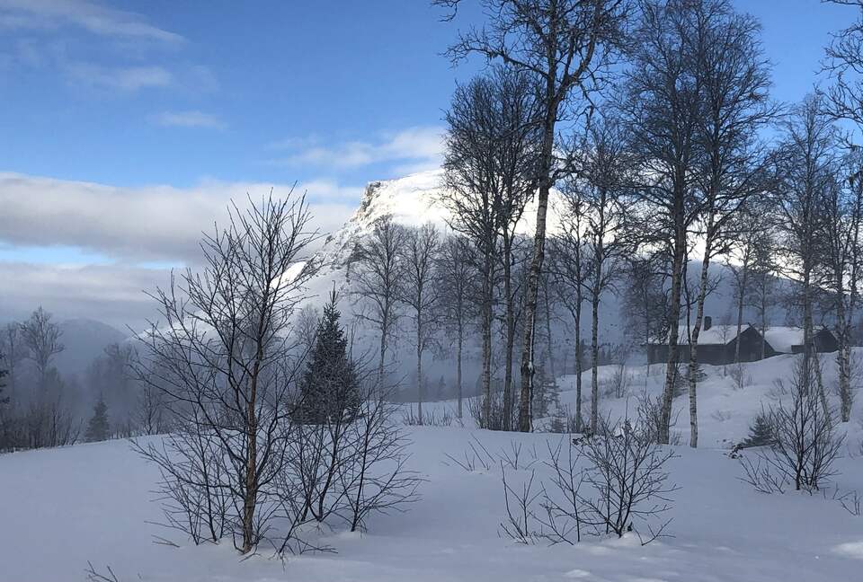 Scandinavian Elegance with Mountain & Lake Vistas - Hemsedal Municipality, Norway