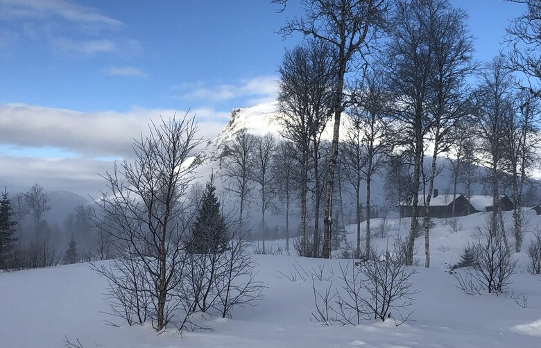 Scandinavian Elegance with Mountain & Lake Vistas - Hemsedal Municipality, Norway