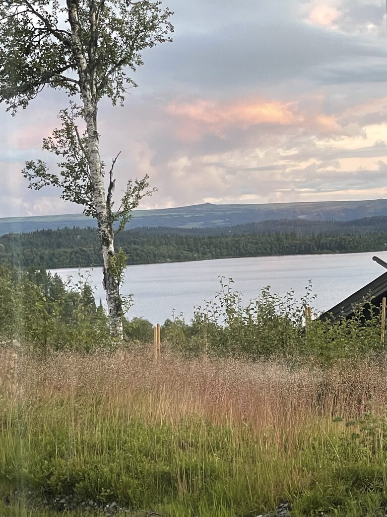 Scandinavian Elegance with Mountain & Lake Vistas - Hemsedal Municipality, Norway