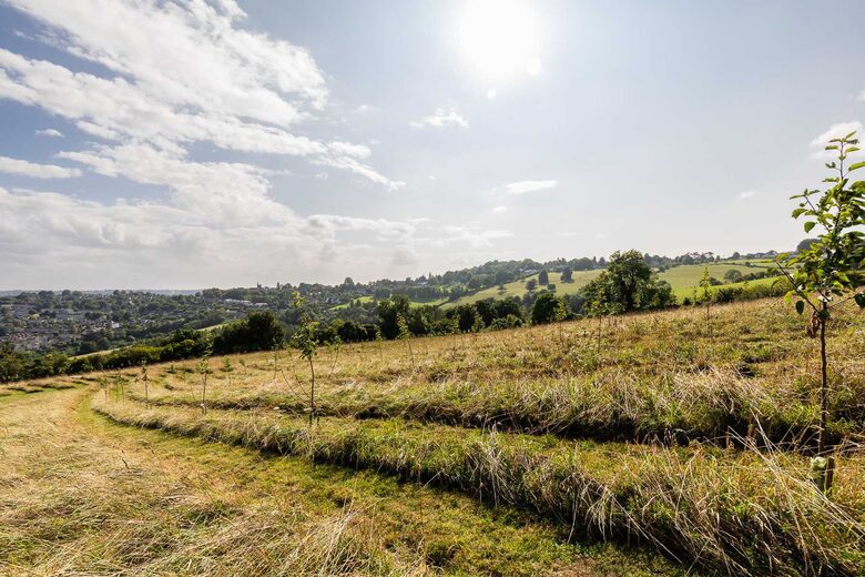 A Contemporary Haven in the Rolling Hills of Somerset - Bath, United Kingdom