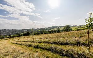A Contemporary Haven in the Rolling Hills of Somerset - Bath, United Kingdom
