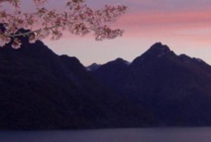 Queenstown Luxury Home