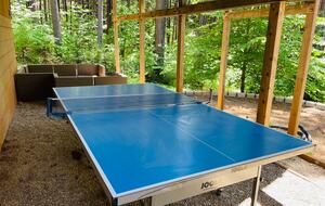 Modern Mountain Haven Near Bear Valley - Arnold, California