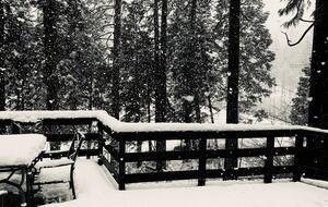 Modern Mountain Haven Near Bear Valley - Arnold, California