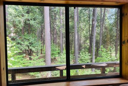 Modern Mountain Haven Near Bear Valley - Arnold, California