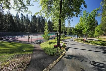 Modern Mountain Haven Near Bear Valley - Arnold, California