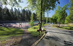 Modern Mountain Haven Near Bear Valley - Arnold, California