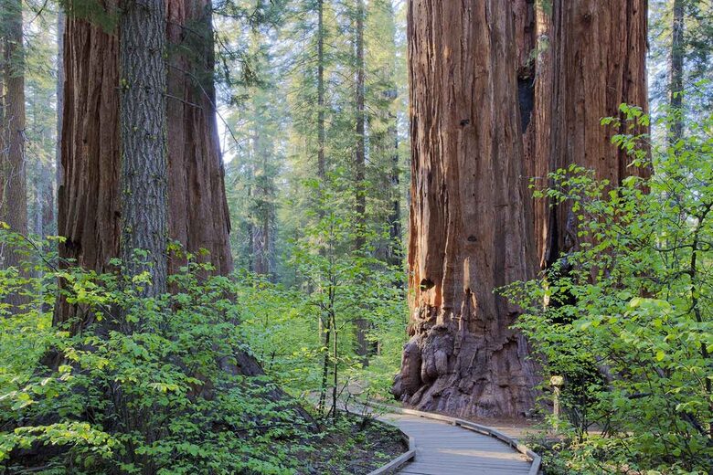 Modern Mountain Haven Near Bear Valley - Arnold, California