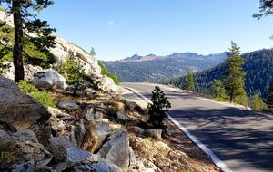 Modern Mountain Haven Near Bear Valley - Arnold, California