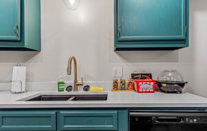 Modern Ridgeview Escape near Asheville - Horse Shoe, North Carolina