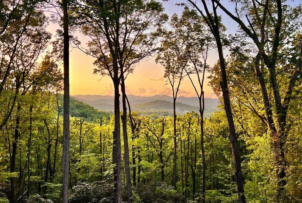 Modern Ridgeview Escape near Asheville - Horse Shoe, North Carolina