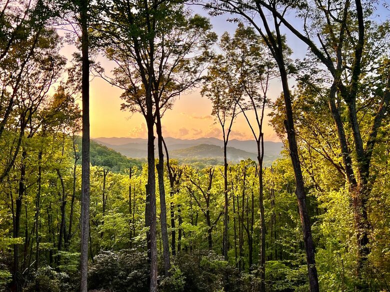 Modern Ridgeview Escape near Asheville - Horse Shoe, North Carolina