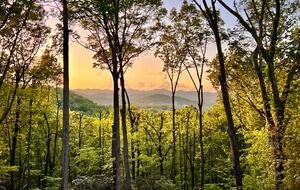 Modern Ridgeview Escape near Asheville - Horse Shoe, North Carolina