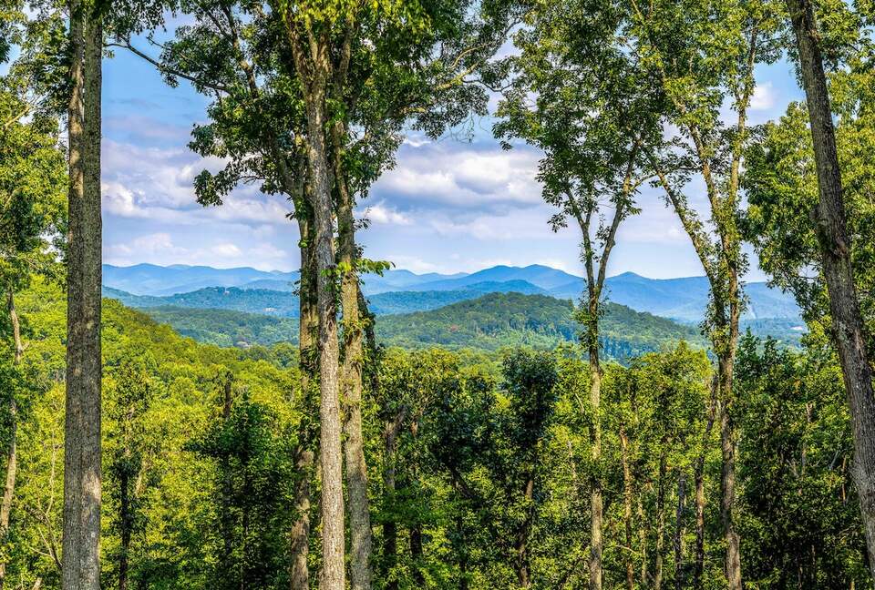 Modern Ridgeview Escape near Asheville - Horse Shoe, North Carolina