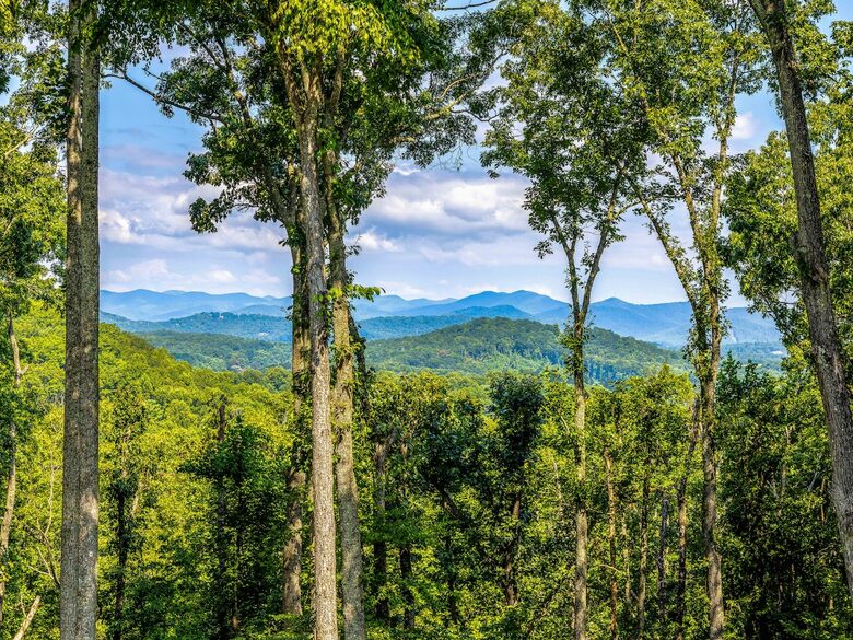 Modern Ridgeview Escape near Asheville - Horse Shoe, North Carolina