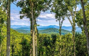 Modern Ridgeview Escape near Asheville - Horse Shoe, North Carolina
