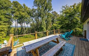 Modern Ridgeview Escape near Asheville - Horse Shoe, North Carolina