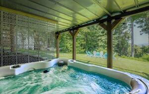 Modern Ridgeview Escape near Asheville - Horse Shoe, North Carolina