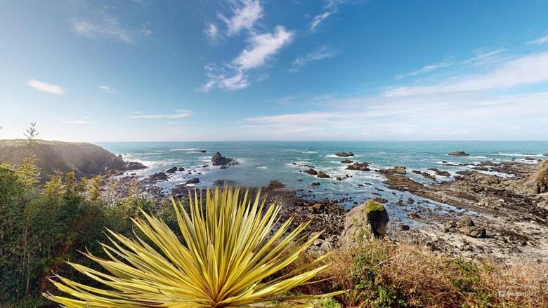 Rocky Waves Ocean Front Luxury Retreat - Brookings, Oregon