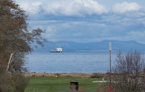 Deer Springs Retreat - Port Angeles, Washington