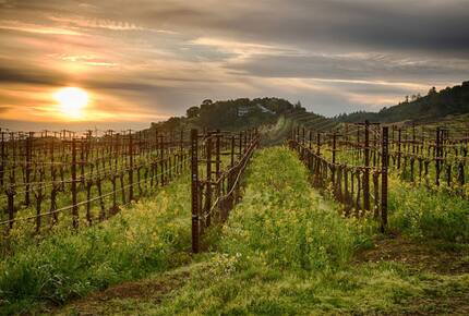 Blue Rock Vineyard | Timeless Wine Country Elegance - Cloverdale, California