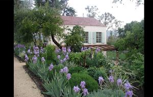 Blue Rock Vineyard | Timeless Wine Country Elegance - Cloverdale, California