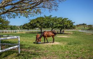 Manor House Fijndraai Estate - Stellenbosch, South Africa