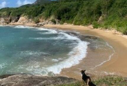 Best beaches in the world!