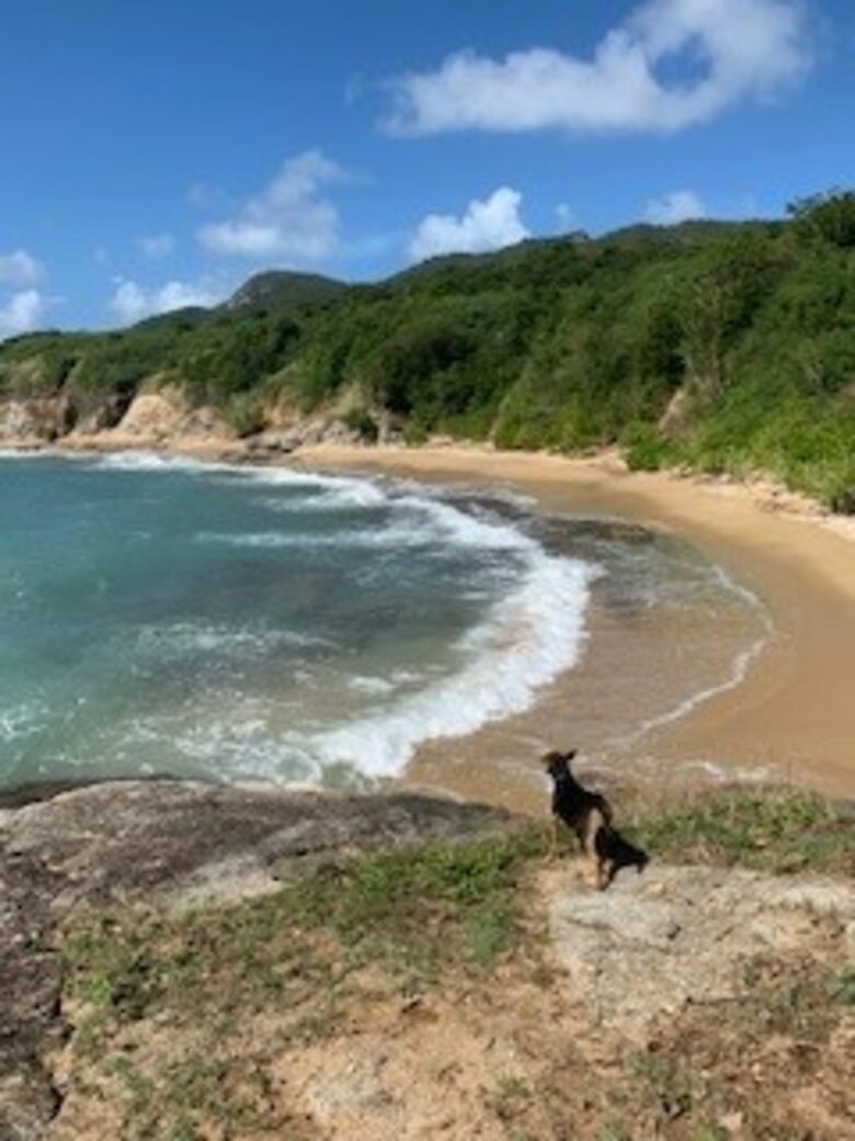 Best beaches in the world!