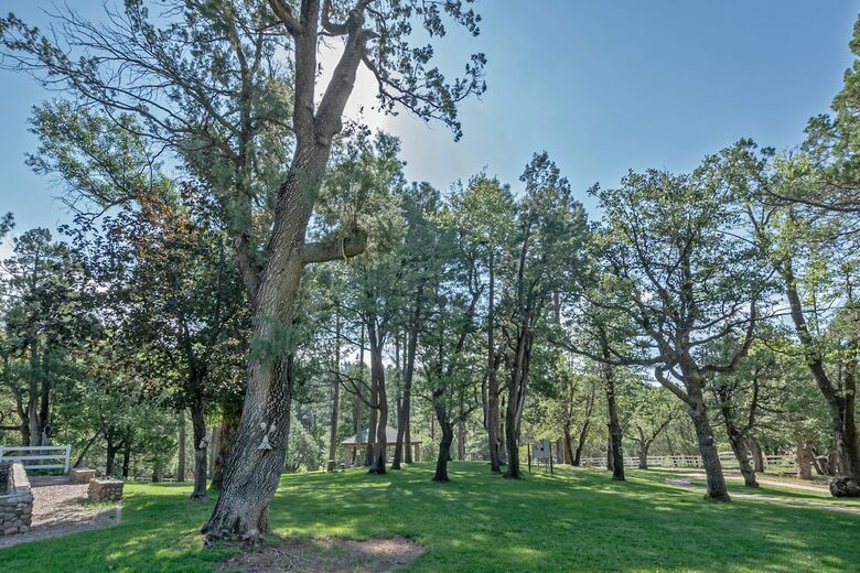 Arizona Mountain Retreat | Main House & Guest Cabin on 4+ Acres - Payson, Arizona
