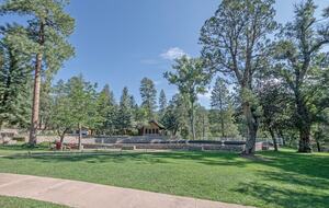 Arizona Mountain Retreat | Main House & Guest Cabin on 4+ Acres - Payson, Arizona