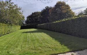 Tasteful Residence with Historic Charm in Killarney - Killarney, Ireland