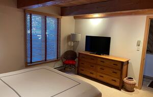 Riverside Retreat | Luxury Townhouse Steps from Aspen Gondola - Aspen, Colorado