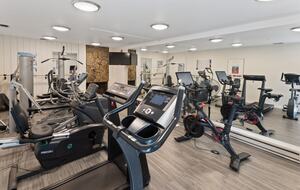 Riverside Retreat | Luxury Townhouse Steps from Aspen Gondola - Aspen, Colorado