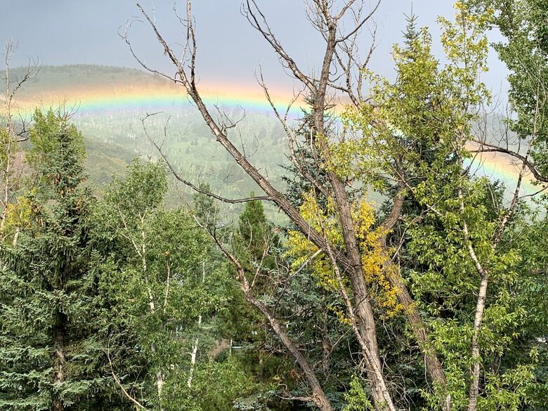 Riverside Retreat | Luxury Townhouse Steps from Aspen Gondola - Aspen, Colorado