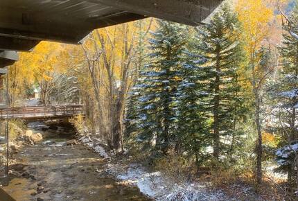 Riverside Retreat | Luxury Townhouse Steps from Aspen Gondola - Aspen, Colorado