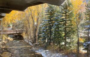 Riverside Retreat | Luxury Townhouse Steps from Aspen Gondola - Aspen, Colorado