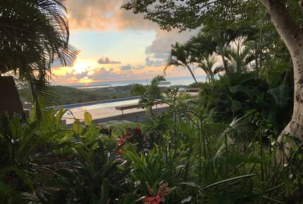 The Pool at sunset with surrounding tropical gardens