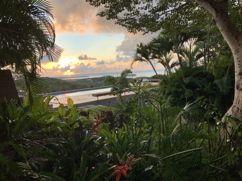 The Pool at sunset with surrounding tropical gardens