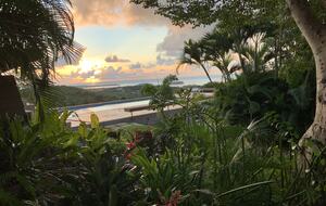 The Pool at sunset with surrounding tropical gardens