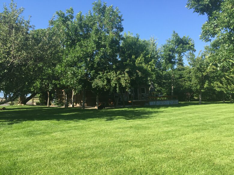 Apple Blossom Retreat | Montana Mountain Living - Bozeman, Montana