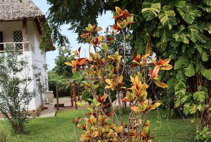 Elegant Coastal Retreat Steps from Africa’s Most Beautiful Beach - Diani Beach, Kenya