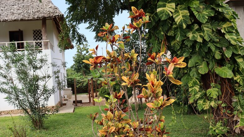 Elegant Coastal Retreat Steps from Africa’s Most Beautiful Beach - Diani Beach, Kenya
