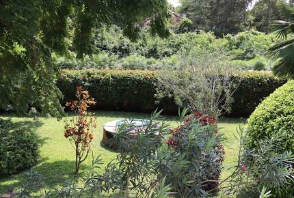 Elegant Coastal Retreat Steps from Africa’s Most Beautiful Beach - Diani Beach, Kenya