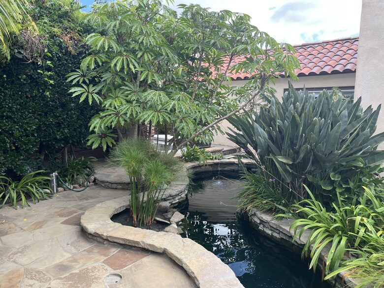 Sea Breeze Sanctuary - Encinitas, California