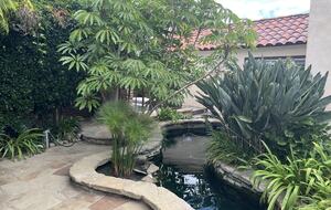 Sea Breeze Sanctuary - Encinitas, California